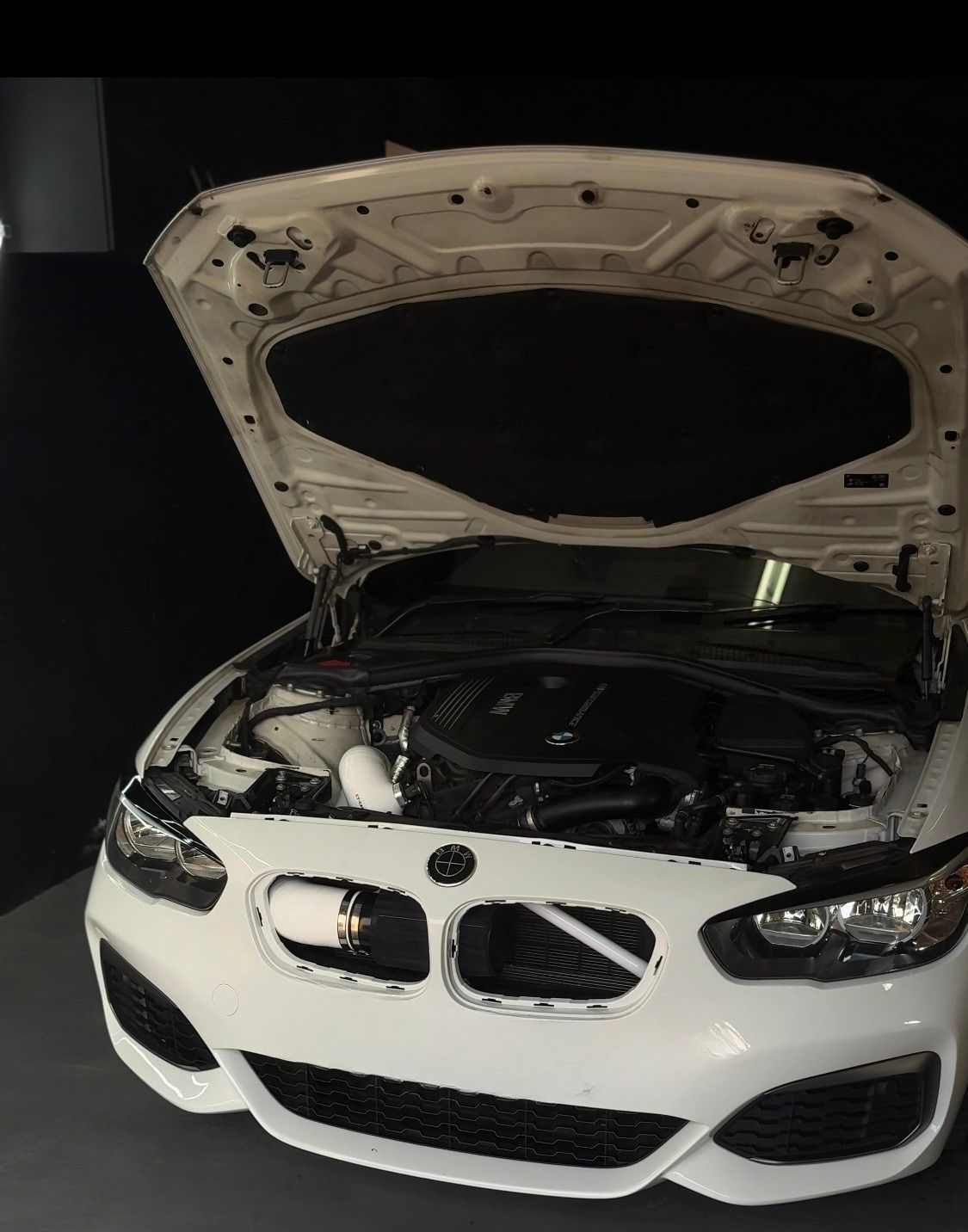 Review from Troy Campbell